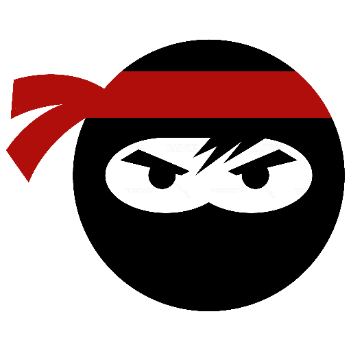 The Web3 Ninja